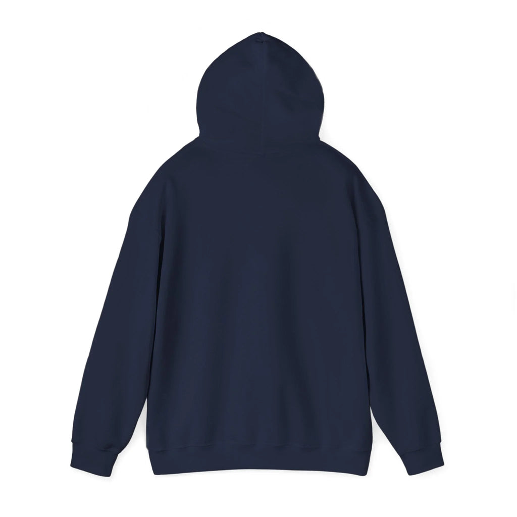Patriotic Vintage Baseball Graphic Hoodie | red white blue ballpark aesthetic Printify